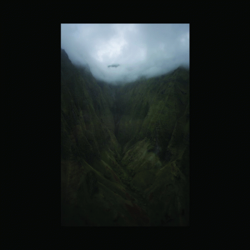 Antlers As Roots : Ephemera